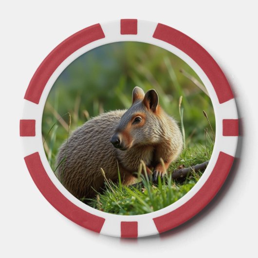 アアルダーク ポーカーチップ (正面)