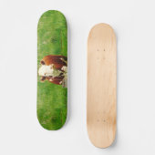 アイおもしろいロニック牛4アンドレ スケートボード (正面)