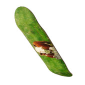 アイおもしろいロニック牛4アンドレ スケートボード (正面)