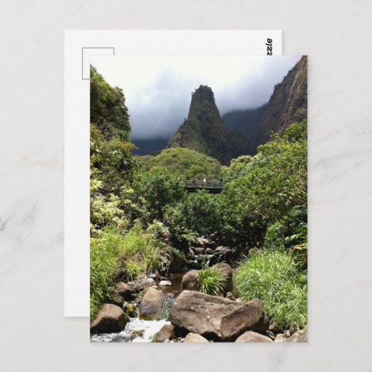 アイアオニードルinアイアオバレー州パーク，マウイ，ハワイ ポストカード (正面/裏面)