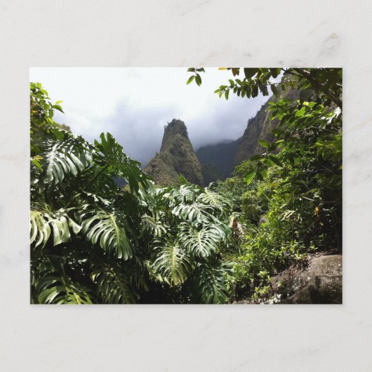 アイアオニードルinアイアオバレー州パーク,マウイ,ハワイ ポストカード (正面)