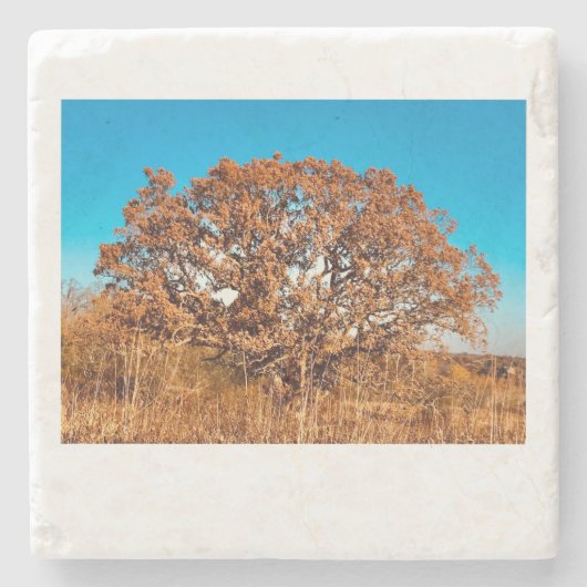 アイアンオーク秋サンライズグローストーンコースター ストーンコースター (正面)