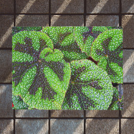 アイアンクロスベゴニアフローラ ドアマット