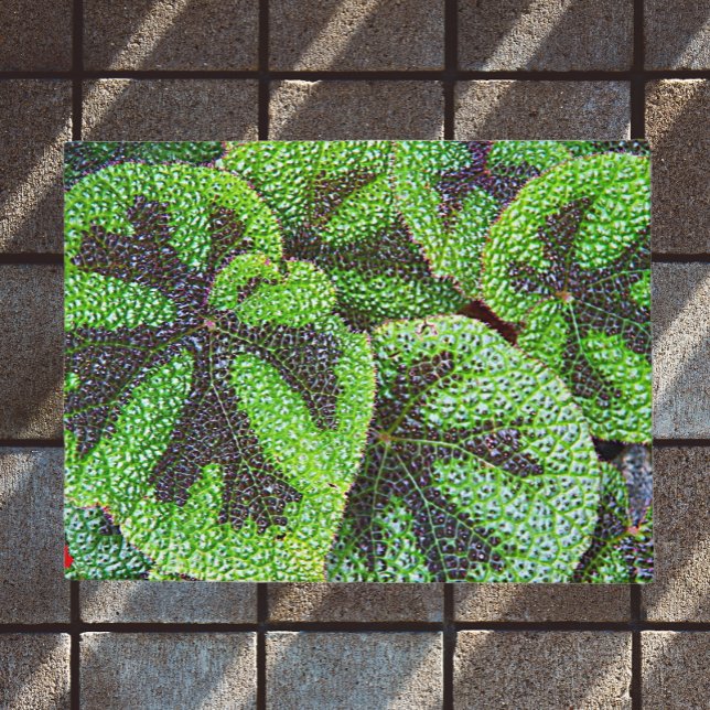 アイアンクロスベゴニアフローラ ドアマット (In Situ)