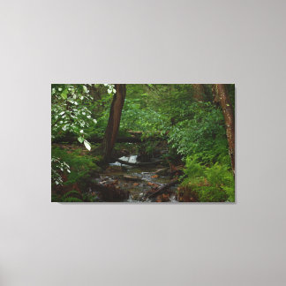 アイアンホーストレイル州パーク キャンバスプリント