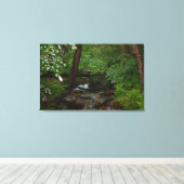 アイアンホーストレイル州パーク キャンバスプリント (インサイチュ (ウッドフロア))