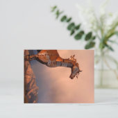 "アイアンホース" ポストカード (スタンド正面)