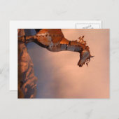 "アイアンホース" ポストカード (正面/裏面)