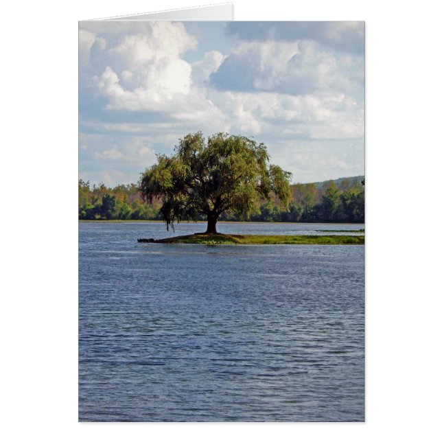 アイアンマウンテンレイク (正面)