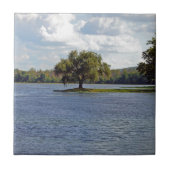 アイアンマウンテンレイク タイル (正面)