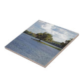 アイアンマウンテンレイク タイル (側面)