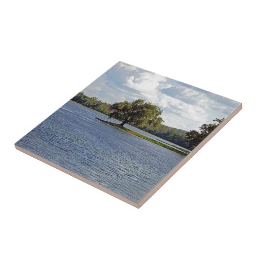 アイアンマウンテンレイク タイル (側面)