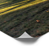 アイオワに恋をする ポスター (角)