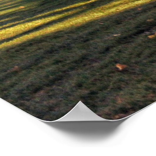 アイオワに恋をする ポスター (角)