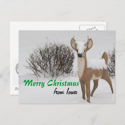 アイオワのクリスマス シーズンポストカード (正面/裏面)