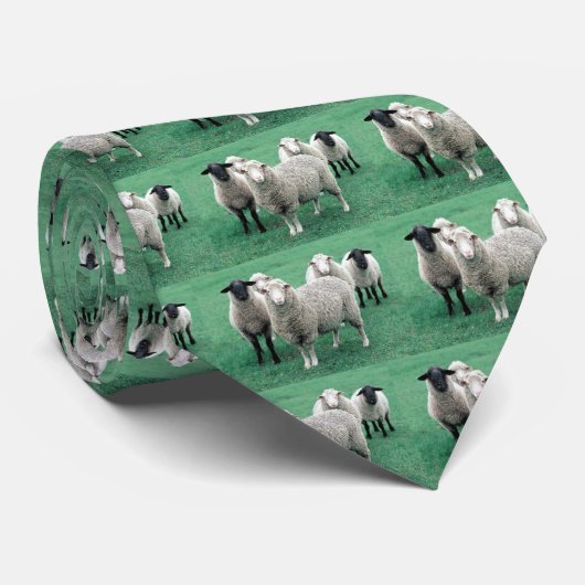 アイオワのヒツジ ネクタイ (ロール)