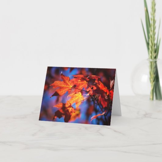 アイオワのメッセージカードの秋 カード (正面)