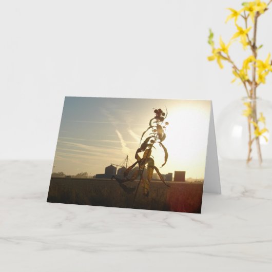 アイオワの朝日の夕日 カード (黄色い花)