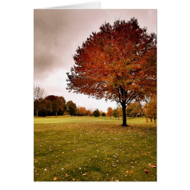 アイオワの秋 (正面)