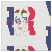 アイオワの米国州の旗 ファブリック (クローズアップ)