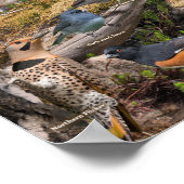 アイオワの裏庭の鳥 ポスター (角)