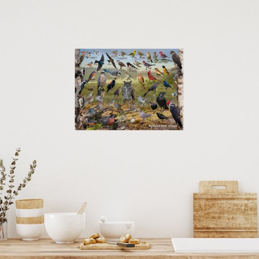 アイオワの裏庭の鳥 ポスター (キッチン)