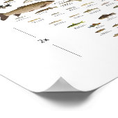 アイオワの魚 ポスター (角)