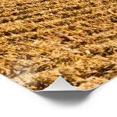 アイオワコーンフィールドパノラマフォトv3 ポスター (コーナー)