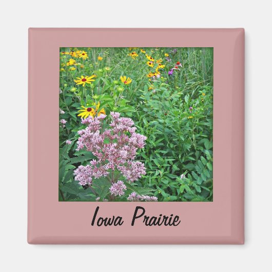 アイオワプレーリ マグネット (正面)