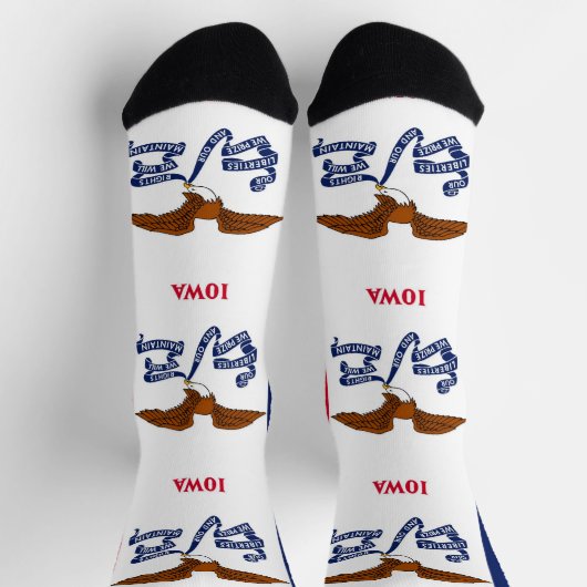 アイオワ地球に優し州旗を持つ女性用靴下 ソックス (上部)