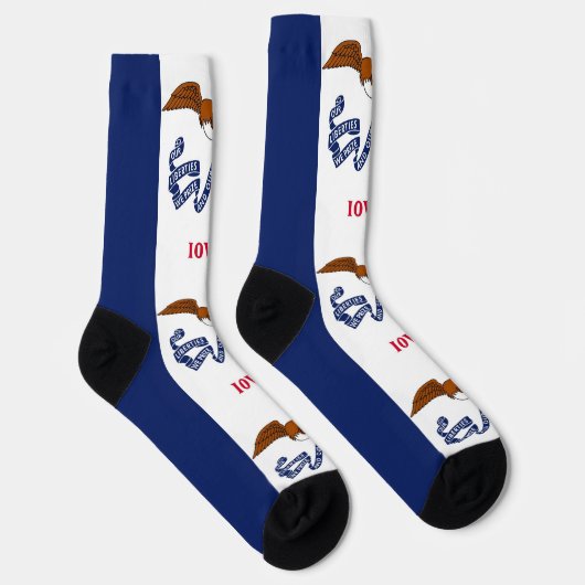 アイオワ地球に優し州旗を持つ女性用靴下 ソックス (右)