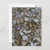 アイオワ川バーリントンの可愛い紫のハートロック ポストカード (正面/裏面)