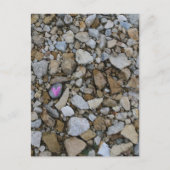 アイオワ川バーリントンの可愛い紫のハートロック ポストカード (正面)