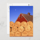 アイオワ州の農場 ポストカード (正面/裏面)