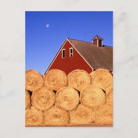 アイオワ州の農場 ポストカード (正面)