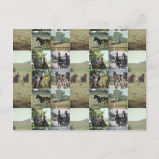 アイオワ州カロナの一日 ポストカード