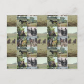 アイオワ州カロナの一日 ポストカード (正面)