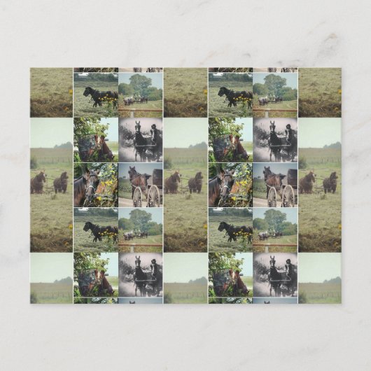 アイオワ州カロナの一日 ポストカード (正面)