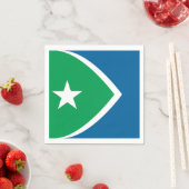 アイオワ州シダーラピッド州旗 スタンダードカクテルナプキン (インサイチュ)