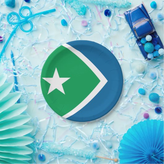 アイオワ州シダーラピッド州旗 ペーパープレート (パーティー)