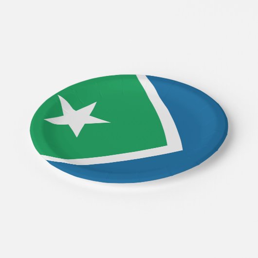 アイオワ州シダーラピッド州旗 ペーパープレート (アングル)