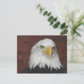 アイオワ州ダブケで撮影したワシの写真 ポストカード (スタンド正面)