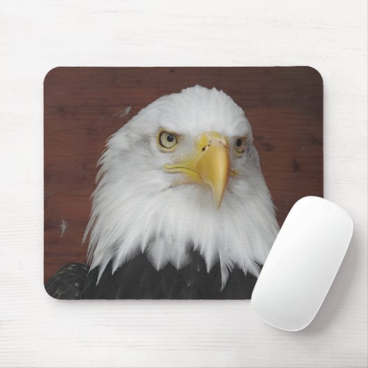 アイオワ州ダブケで撮影したワシの写真 マウスパッド (マウス)