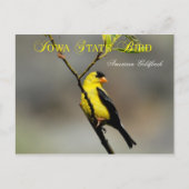 アイオワ州バードアメリカンゴールドフィンチ ポストカード (正面)
