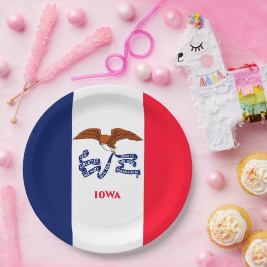 アイオワ州旗デザイン ペーパープレート (パーティー)