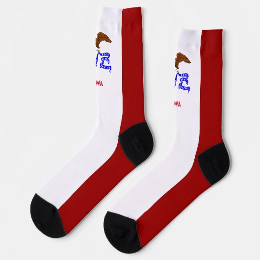 アイオワ州旗 ソックス (左)