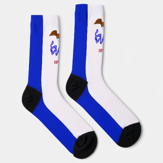 アイオワ州旗 ソックス (右)