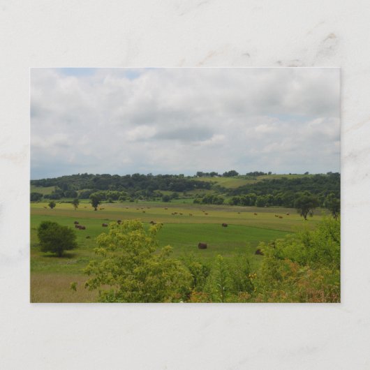 アイオワ横向きポストカード ポストカード (正面)