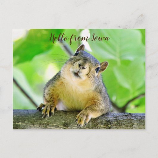 アイオワ葉書からこんにちは ポストカード (正面)
