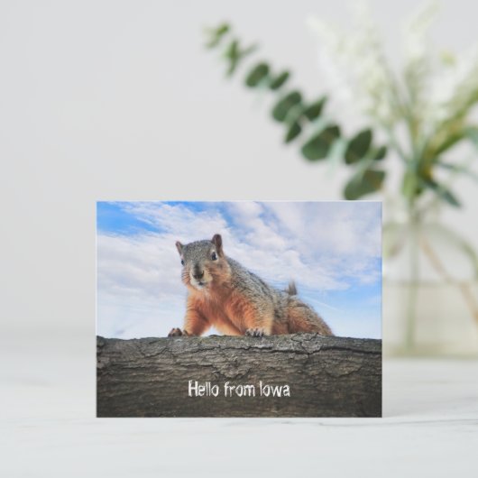 アイオワ葉書からこんにちは ポストカード (スタンド正面)